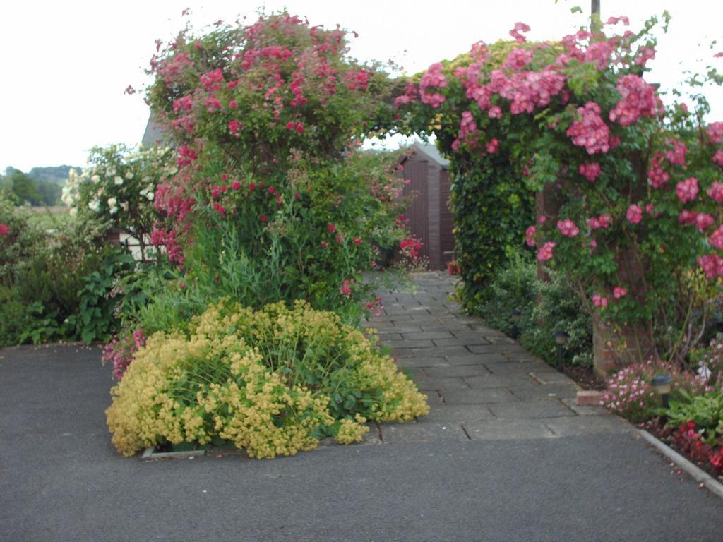 The Lilacs Ashbourne  Exterior foto